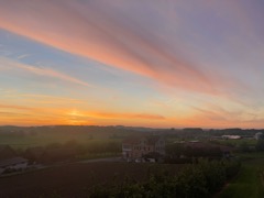 IMG_2199